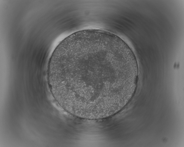 X0000112381104200909101340