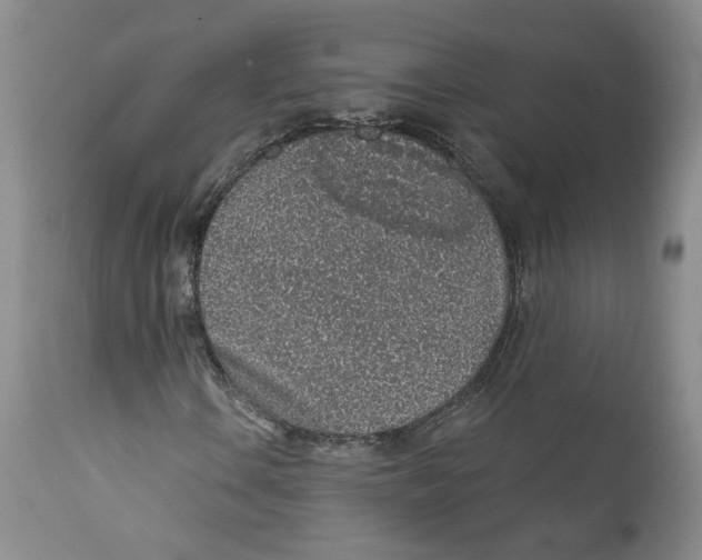 X0000112381106200909101339