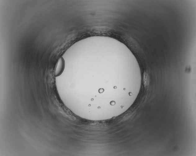 X0000112381107200909101339