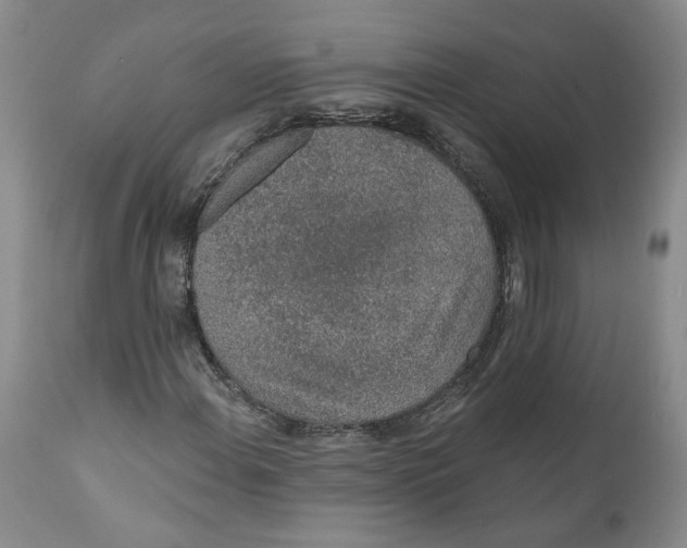 X0000112381108200909101339