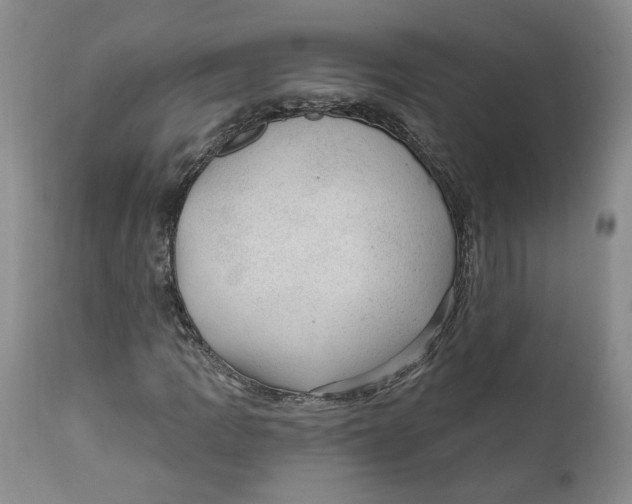 X0000112381109200909101339