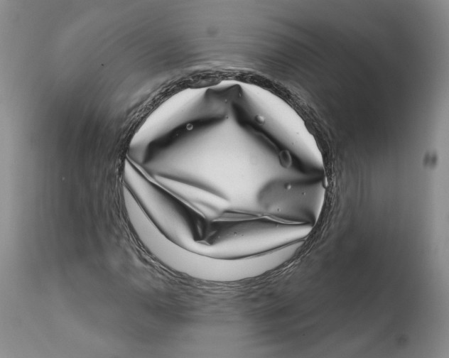 X0000112381110200909101339