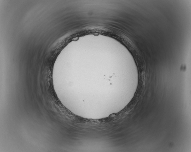 X0000112381111200909101339