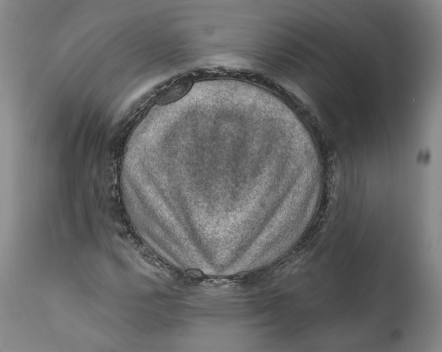 X0000112381112200909101339