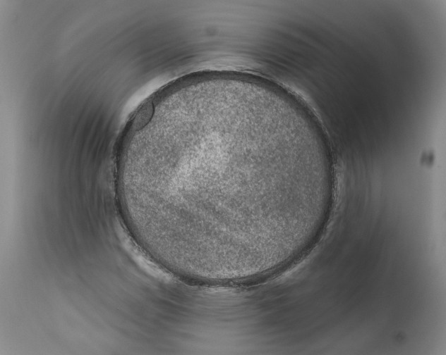 X0000112381114200909101339