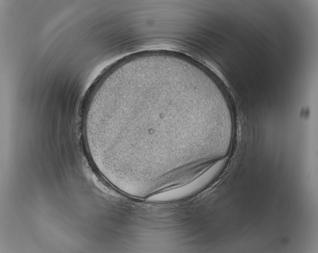 X0000112381116200909101339