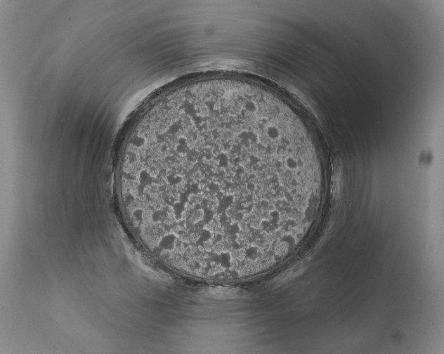 X0000112381117200909101339