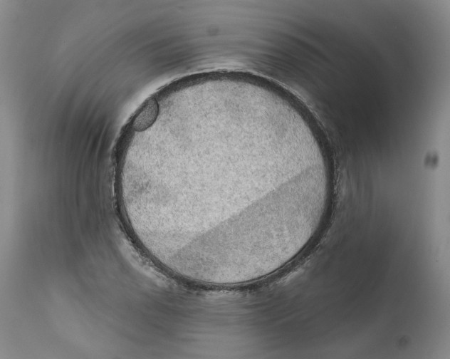 X0000112381118200909101339