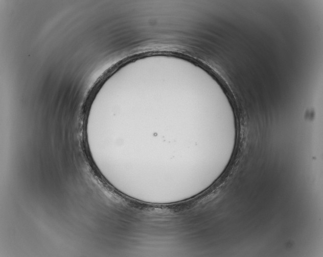 X0000112381119200909101339