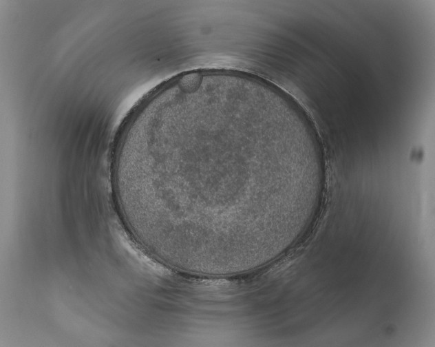 X0000112381120200909101339