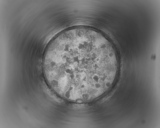 X0000112381121200909101339