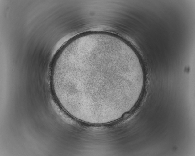 X0000112381122200909101339