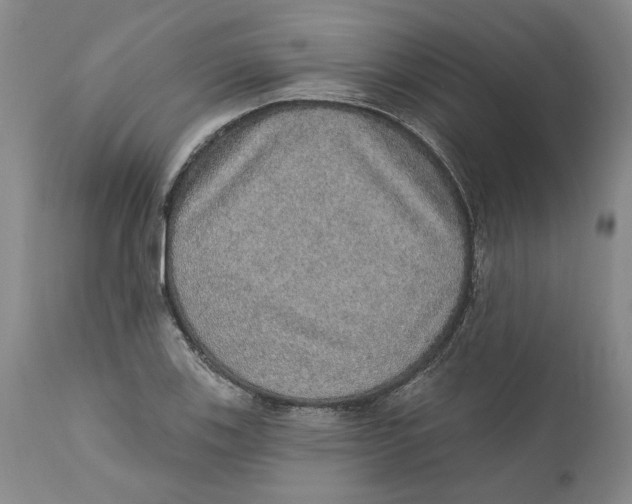 X0000112381123200909101339