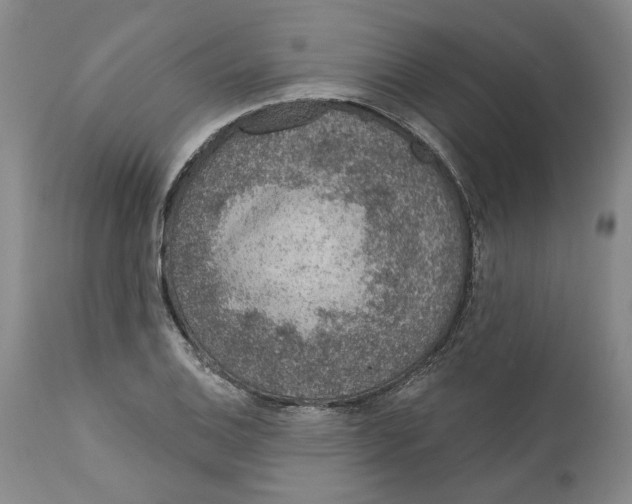 X0000112381124200909101339