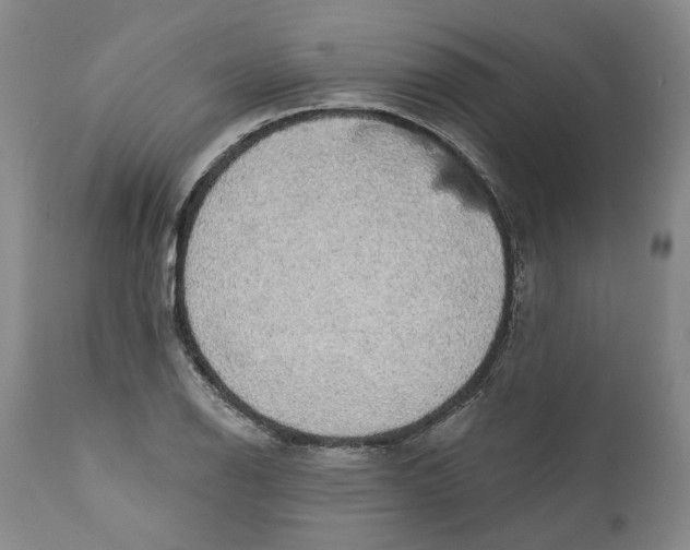 X0000112381126200909101339