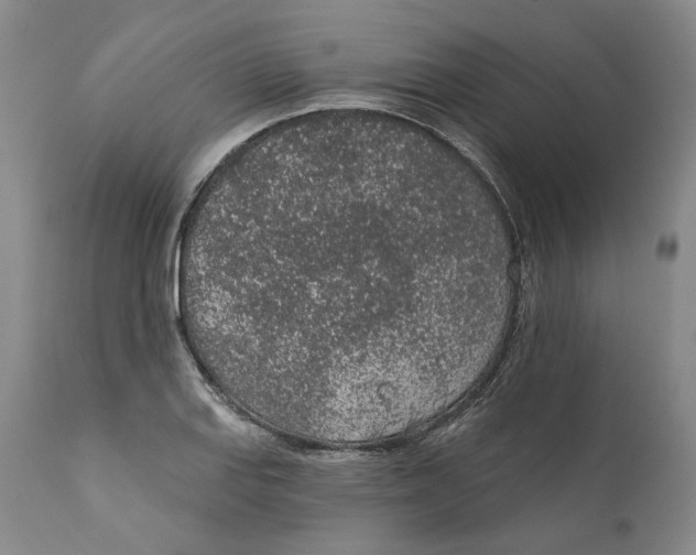 X0000112381127200909101339