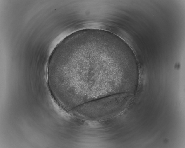 X0000112381128200909101339