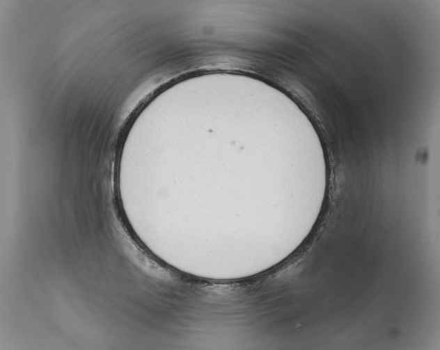 X0000112381130200909101339