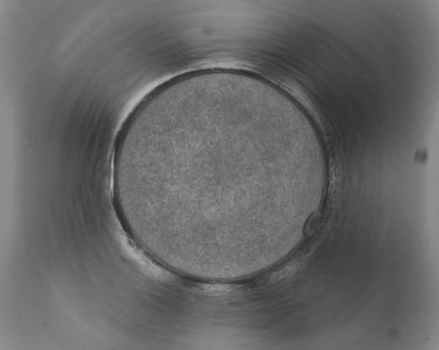 X0000112381132200909101339