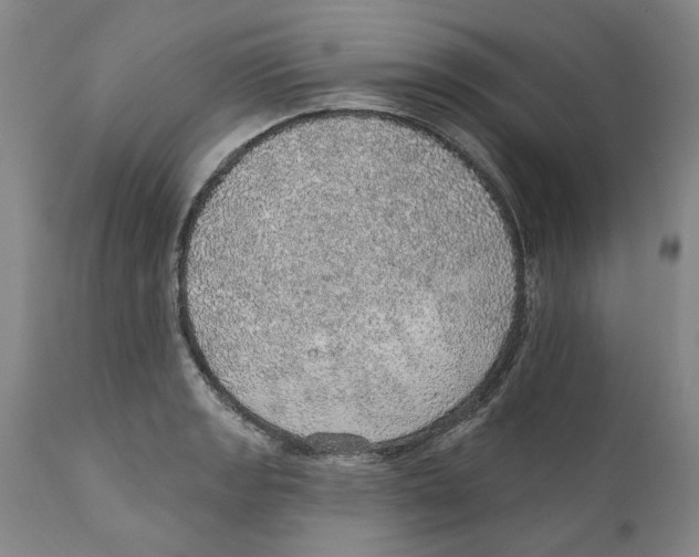 X0000112381133200909101339