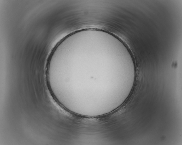 X0000112381135200909101340