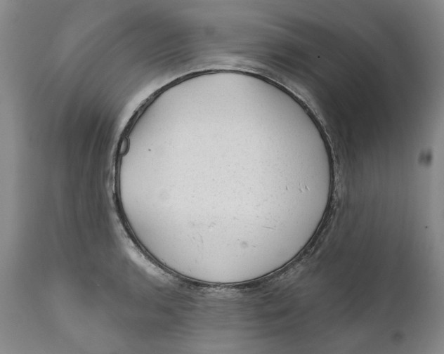 X0000112381136200909101340