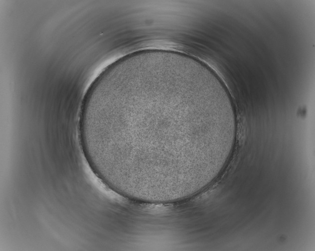 X0000112381139200909101340