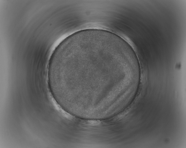 X0000112381144200909101340