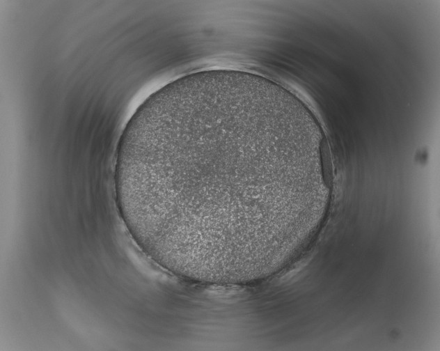 X0000112381146200909101340