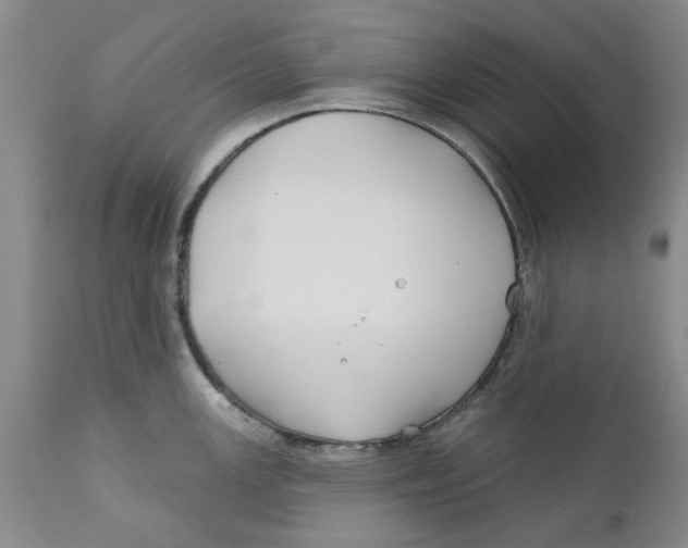 X0000112381147200909101340