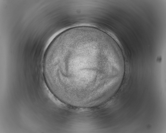 X0000112381148200909101340