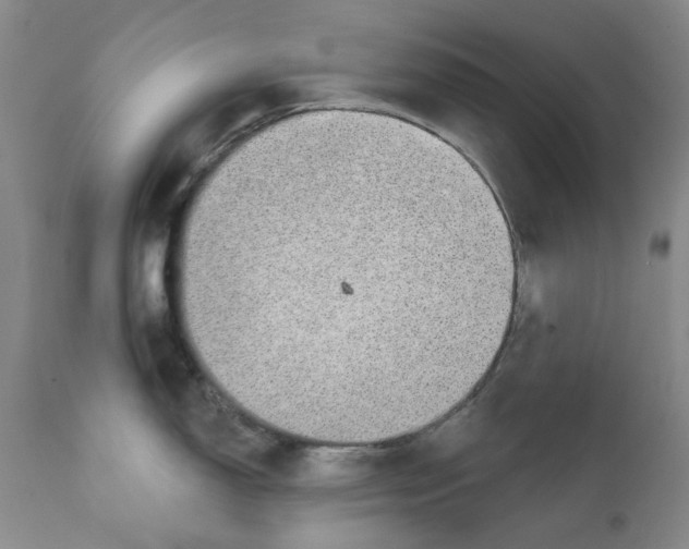 X0000112381150200909101340