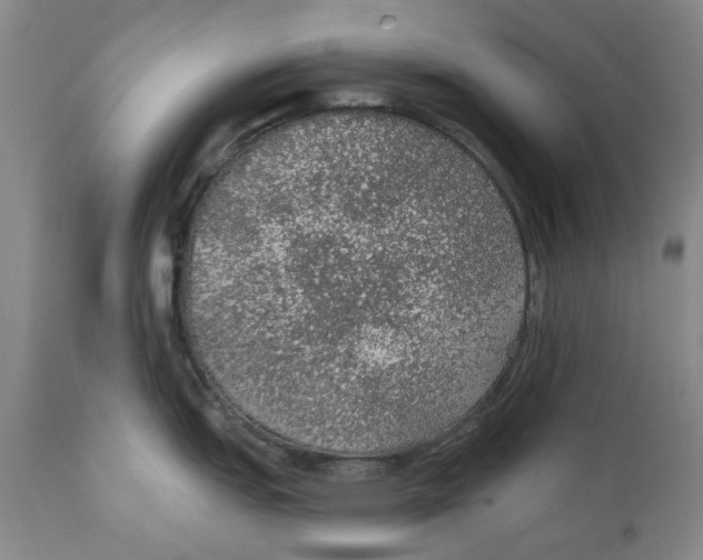 X0000112381151200909101340