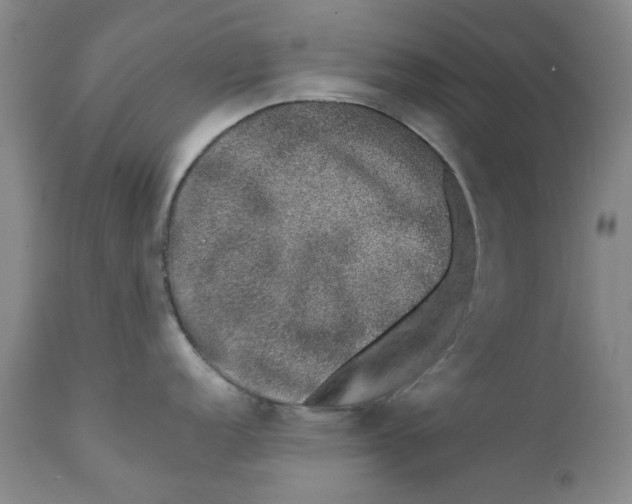 X0000112381152200909101340