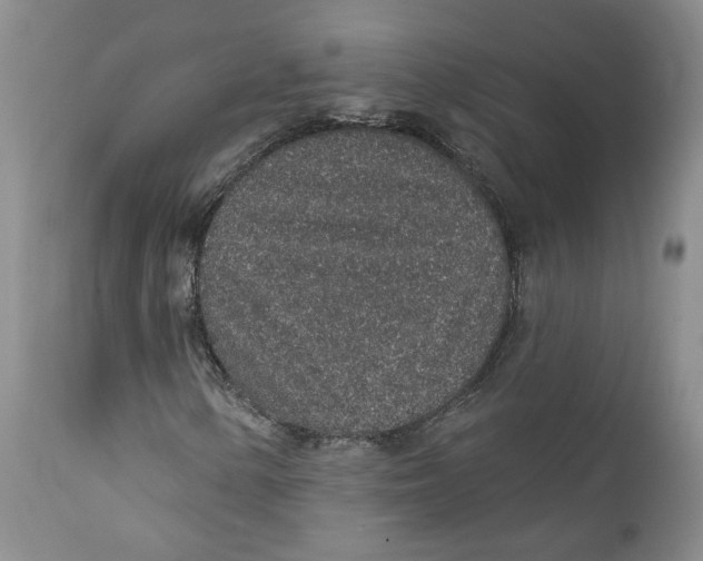 X0000112381154200909101339