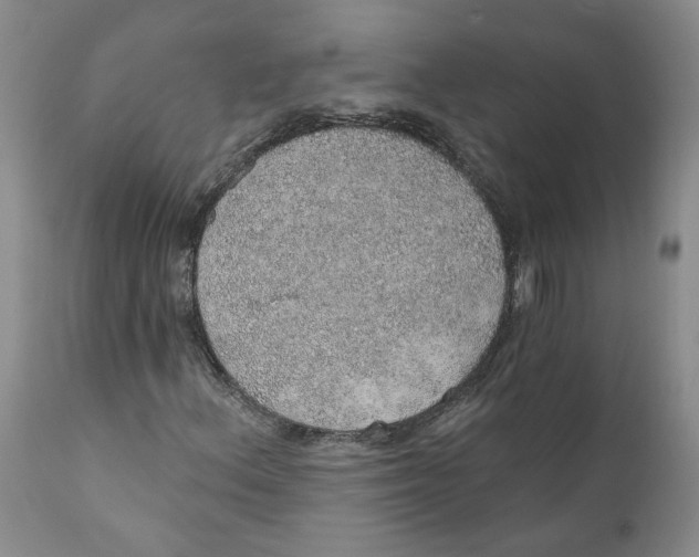 X0000112381156200909101339