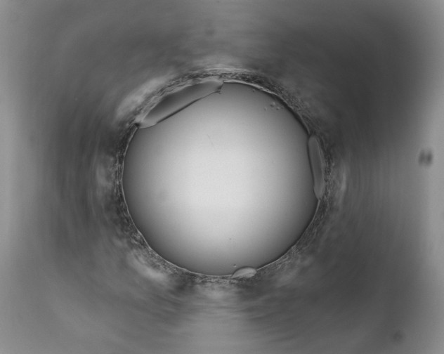 X0000112381157200909101339