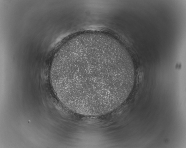 X0000112381158200909101339