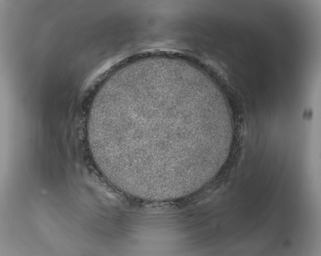 X0000112381159200909101339