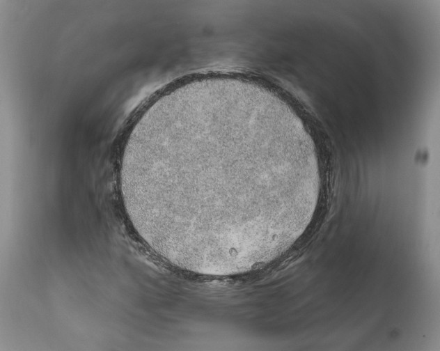 X0000112381160200909101339