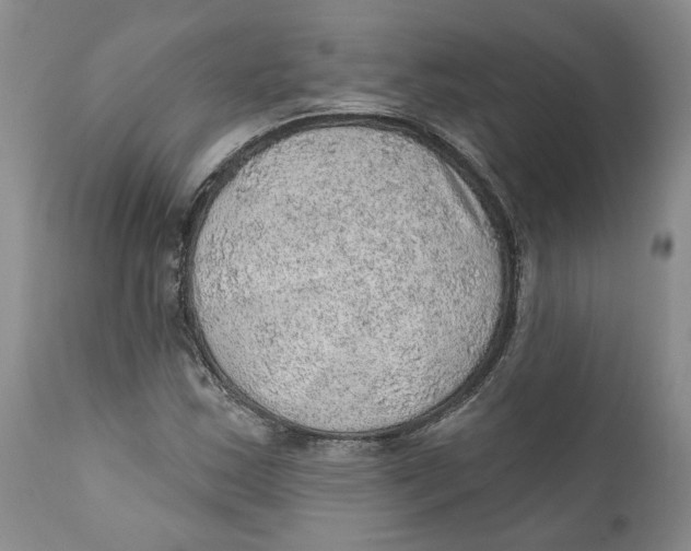 X0000112381163200909101339