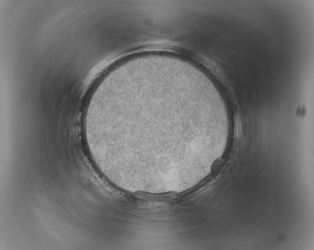 X0000112381164200909101339