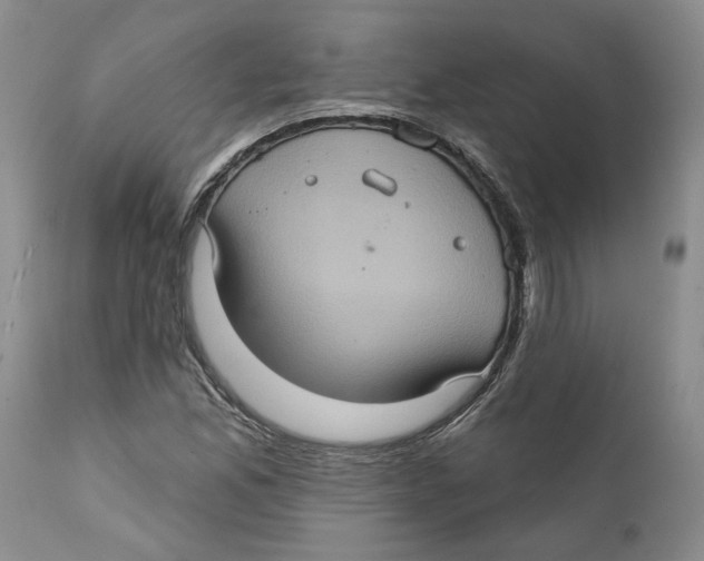 X0000112381165200909101339