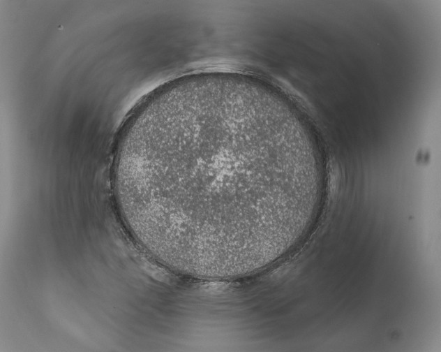 X0000112381166200909101339