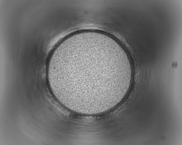 X0000112381167200909101339