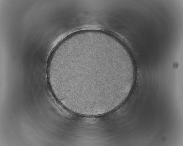 X0000112381168200909101339