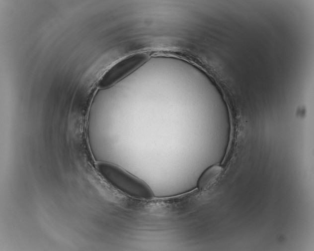 X0000112381169200909101339