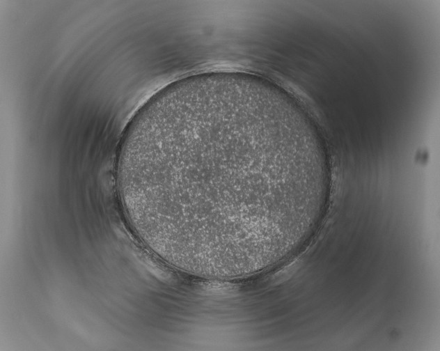 X0000112381170200909101339