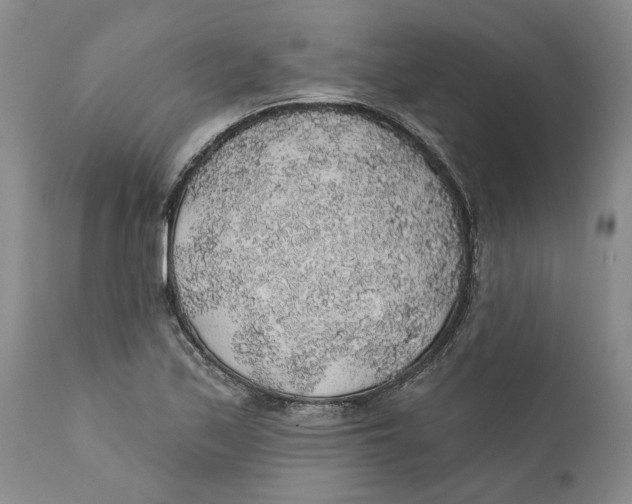 X0000112381171200909101339