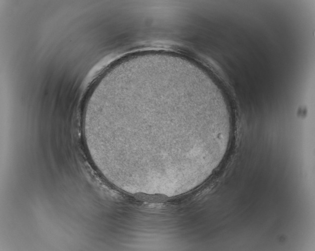 X0000112381172200909101338